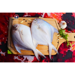 White Pomfret (140 - 170g)