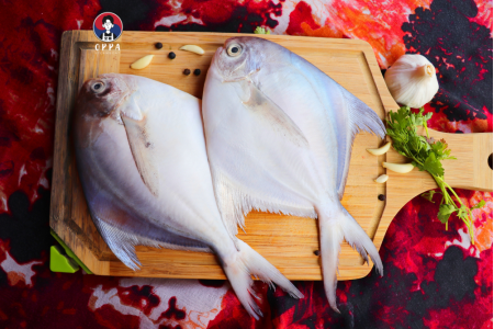 White Pomfret (140 - 170g)