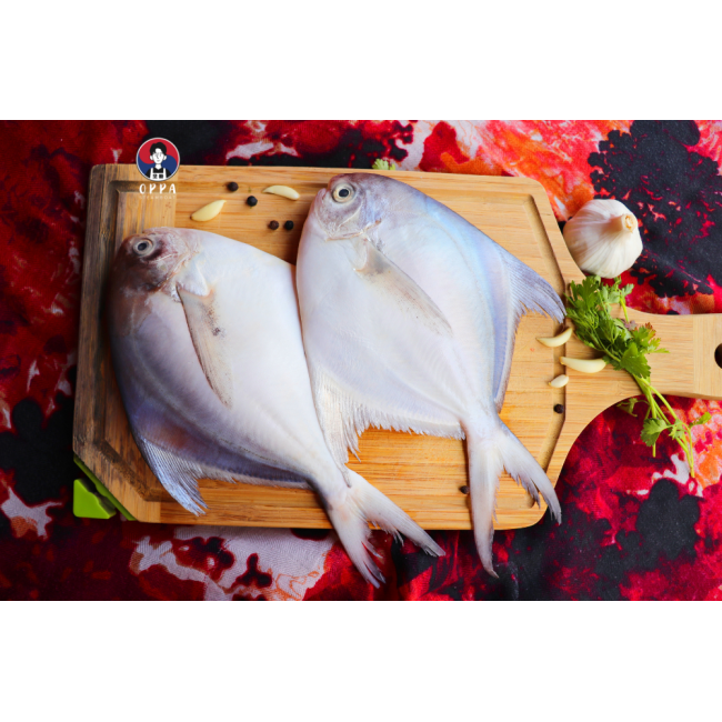 White Pomfret (140 - 170g)